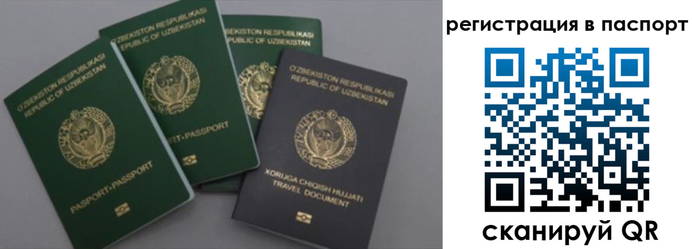 прописка от собственника в Ненецком АО